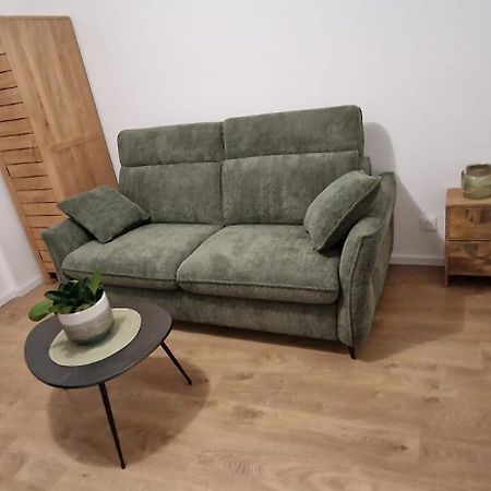 Studio Avec Terrasse Hyper Centre Colmar Dış mekan fotoğraf